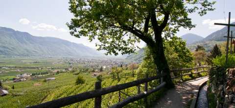 Vista sulla Val d’Adige dal Waalweg di Marlengo